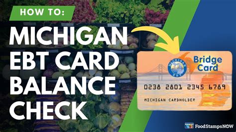 ebt michigan login|ebt balance michigan sign in.